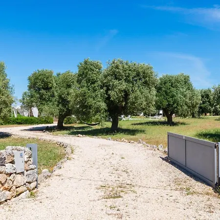 Aura D'olivo Con Piscina By Wonderful Italy *